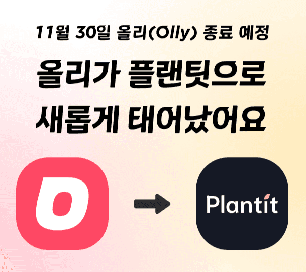 플랜팃(Plantit)으로 새롭게 시작합니다.